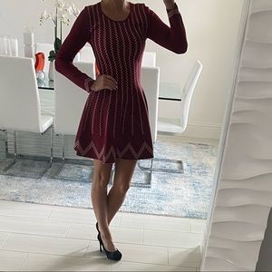 NWT Designer Skater Dress